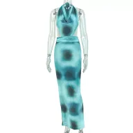 Bodycon Halter Dress V Neck Backless Fashionable Design Elegant Evening Wear Wholesale Available