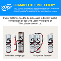 uploads/erp/collection/images/Battery/CXY/Bat119315/img_b/Bat119315_img_b_2