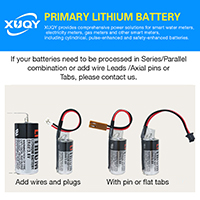 uploads/erp/collection/images/Battery/CXY/Bat216262/img_b/Bat216262_img_b_2