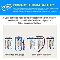 uploads/erp/collection/images/Battery/CXY/Bat318228/img_b/Bat318228_img_b_2