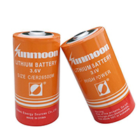 uploads/erp/collection/images/Battery/CXY/Bat619017/img_b/Bat619017_img_b_4